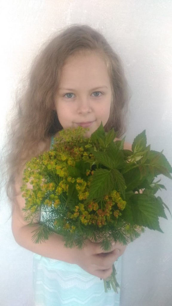 �����������