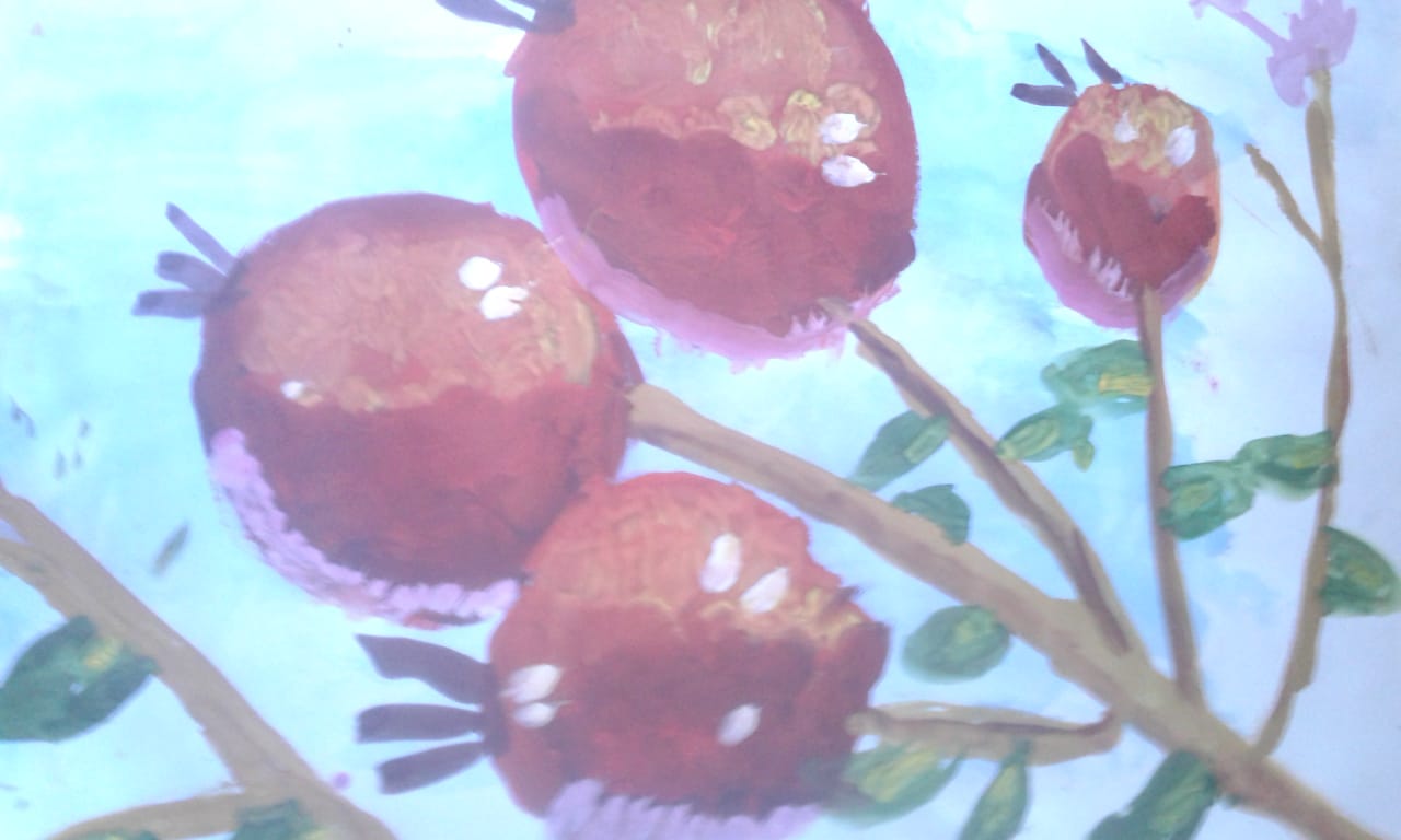 �����������