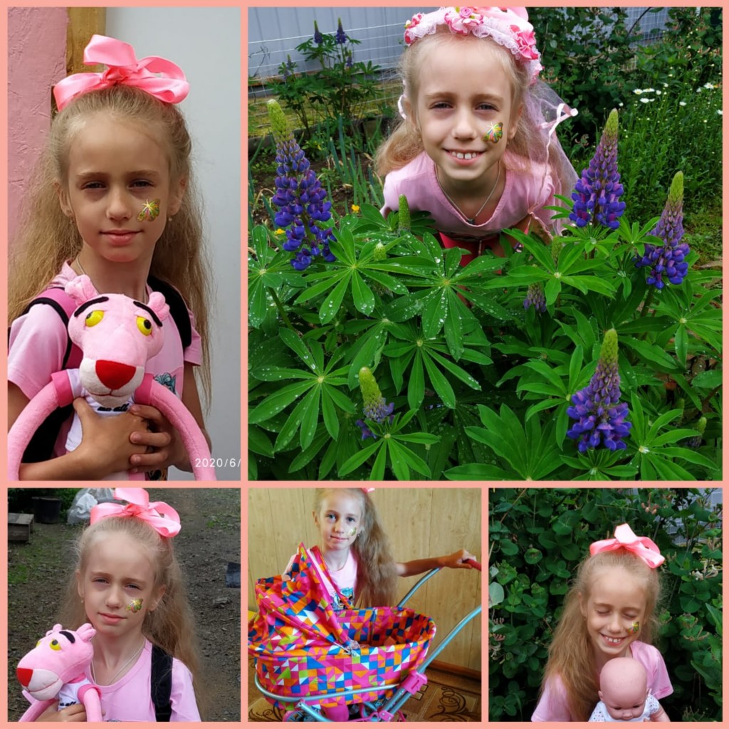 �����������