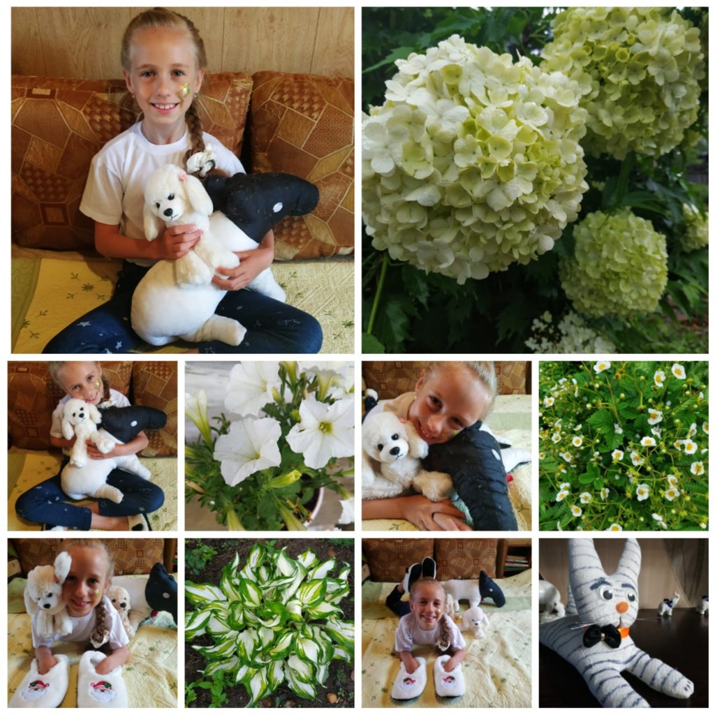 �����������