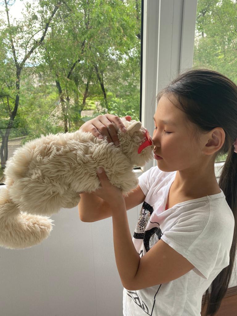 �����������