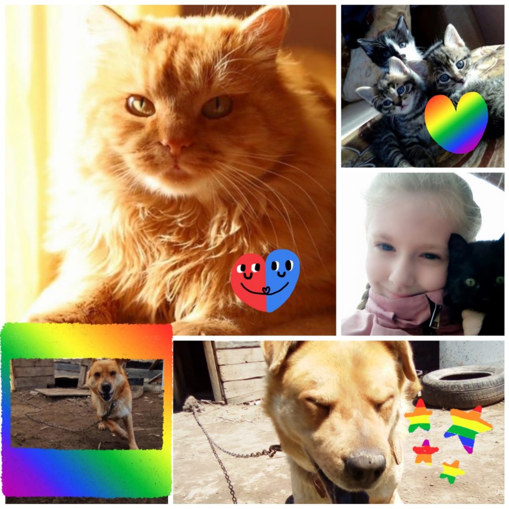 �����������