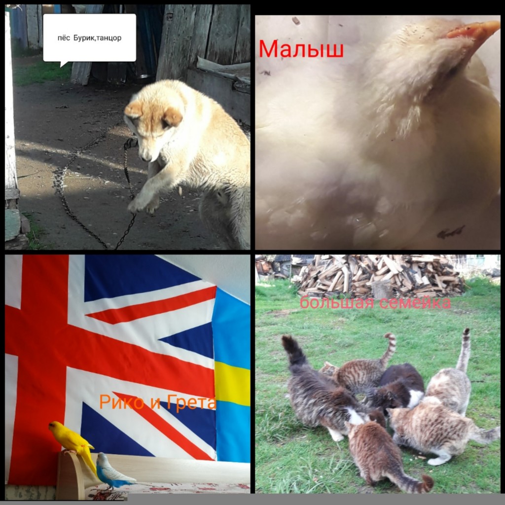 �����������